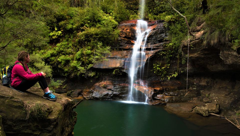 Blue Mountains Day, Sunset Tour & Glow Worms Night Adventure - Key Points