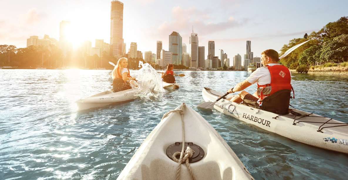 Brisbane: Guided River Kayak Tour - Key Points