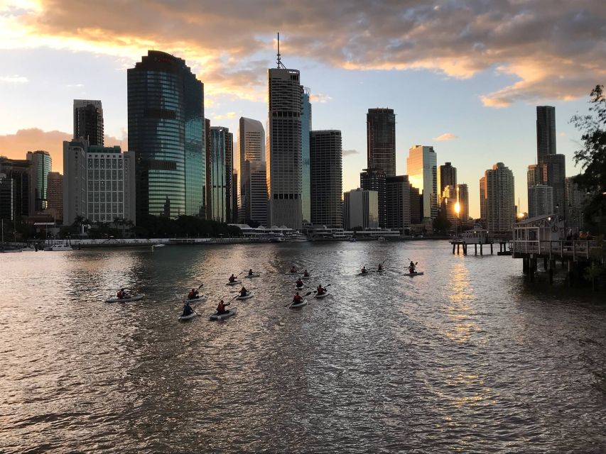 Brisbane: Illuminated River Night Kayak Tour - Key Points