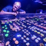 Cairns: Aquarium Entry Ticket and Coral Conservation Tour - Key Points