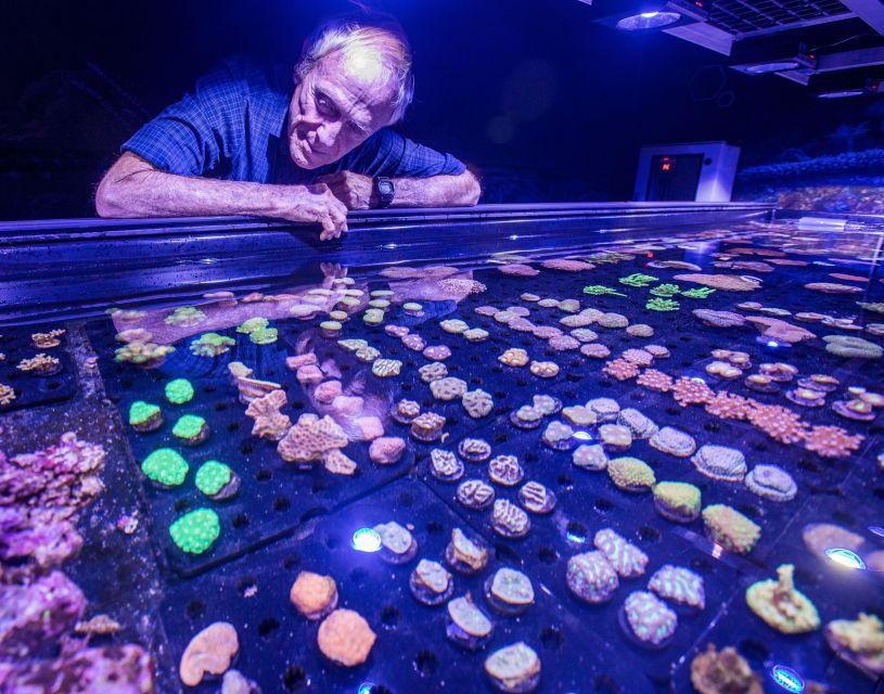 Cairns: Aquarium Entry Ticket and Coral Conservation Tour - Key Points