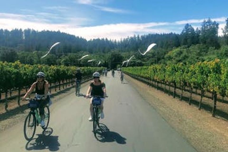 Calistoga: Napa Valley Cycling and Winery Tour With Picnic - Key Points