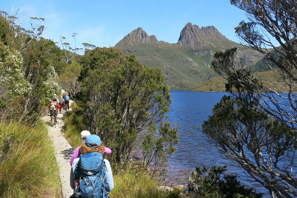 Cradle Mountain: Day Trip From Launceston With Lunch - Key Points