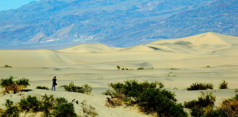 Death Valley: Full–Day Tour From Las Vegas - Key Points