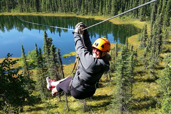 Denali Zipline Tour in Talkeetna, AK - Key Points