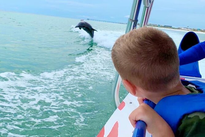 Dolphin-Watching Speedboat Cruise in Destin Harbor - Key Points
