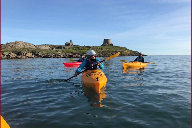 Dublin Bay Seal Kayaking Safari at Dalkey - Key Points