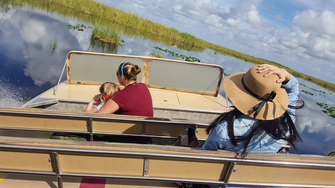 Everglades National Park Biologist Led Adventure: Cruise, Hike + Airboat - Key Points