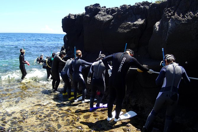 Experience Diving! ! Scuba Diving in the Sea of Japan! ! if You Are Not Confident in Swimming, It Is Safe for the First Time. From Beginners to Veteran Instructors Will Teach Kindly and Kindly. - Key Points