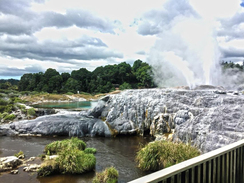 From Auckland : Waitomo Caves and Rotorua With Te Puia - Key Points