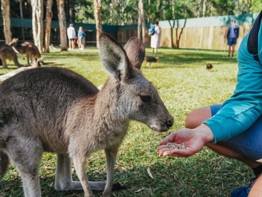 From Brisbane: Australia Zoo Transfer and Entry Ticket - Customer Reviews