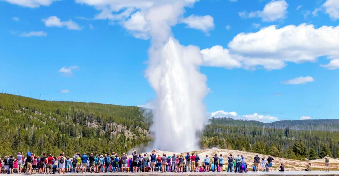 From Jackson: Yellowstone Day Tour Including Entrance Fee - Key Points