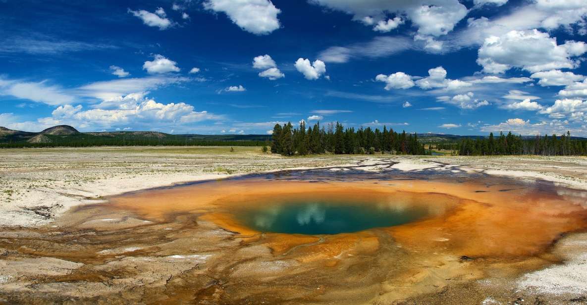 From Jackson: Yellowstone National Park Day Trip With Lunch - Key Points