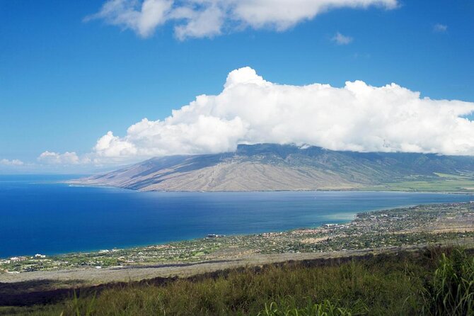 From Maalaea Harbor: Whale Watching Tours Aboard the Quicksilver - Key Points