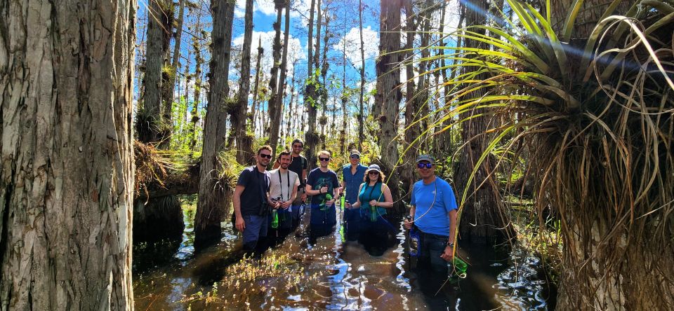 From Miami: Everglades Tour W/ Wet Walk, Boat Trips, & Lunch - Key Points