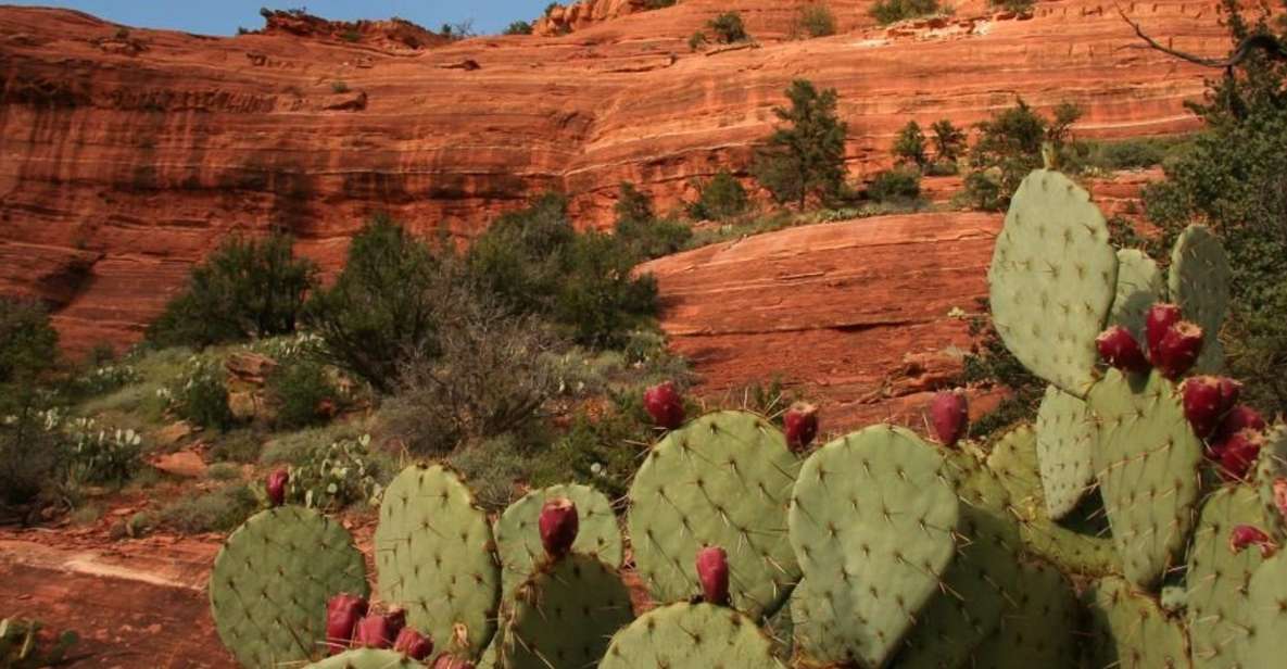 From Phoenix: Full-Day Sedona Small-Group Tour - Booking Information