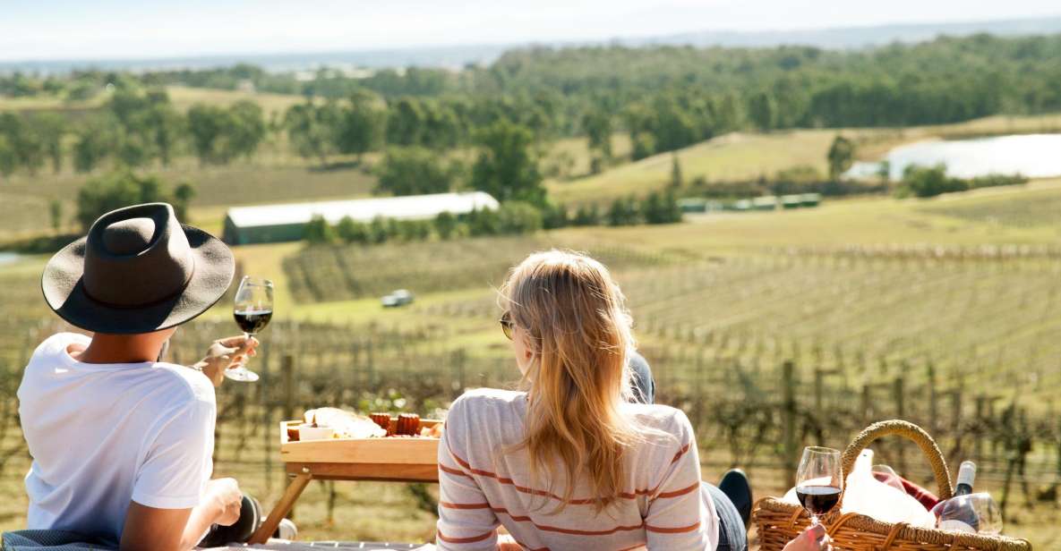 From Pokolbin: Picnic and Wine Tasting - Key Points