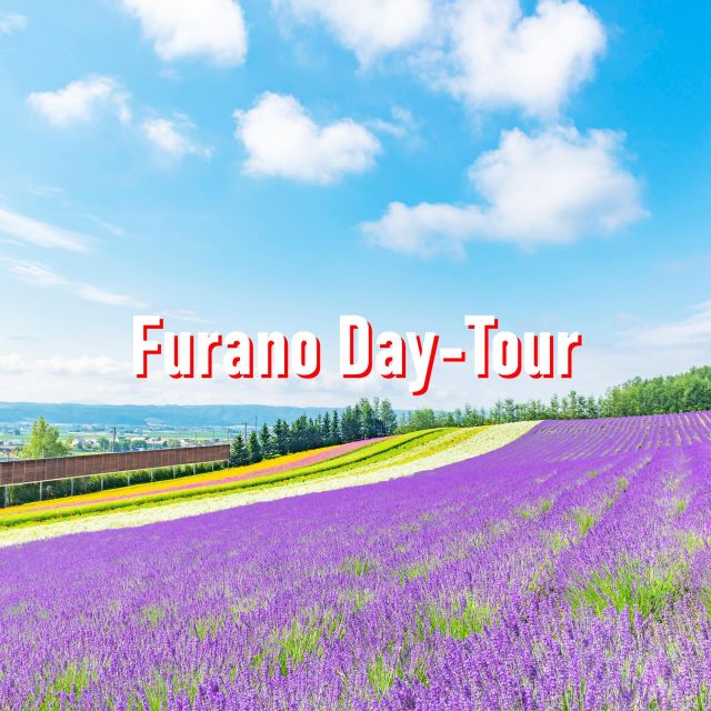 From Sapporo: 10-hour Customized Private Tour to Furano - Key Points