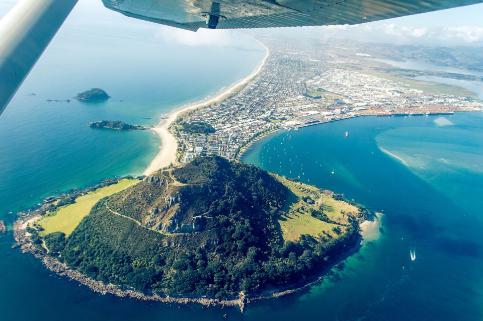 From Tauranga: Skydive Over Mount Maunganui - Key Points