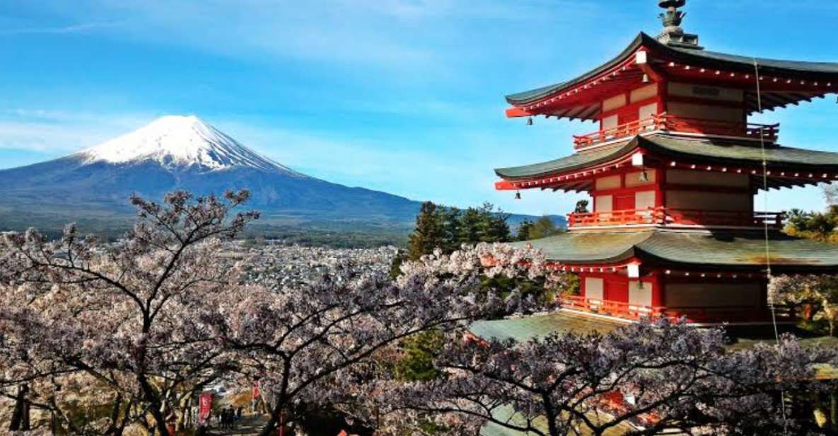 From Tokyo: Customizable Mount Fuji Full-Day Private Tour - Key Points