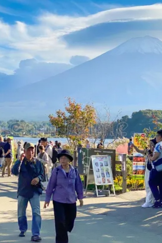 From Tokyo Mount Fuji Private Tour English Speaking Driver - Highlights of the Tour