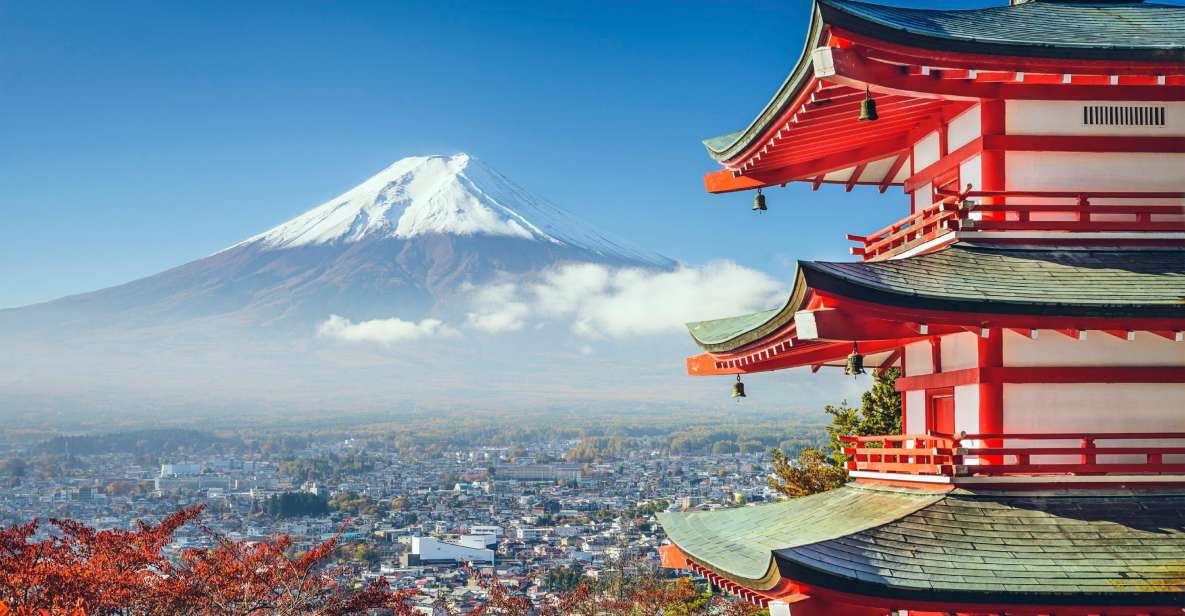 From Tokyo: Mt Fuji and Hakone Customizable Private Day Trip - Key Points