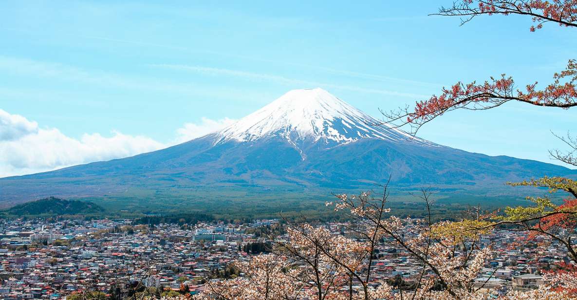 From Tokyo: Mt. Fuji Full-Day Sightseeing Trip - Key Points