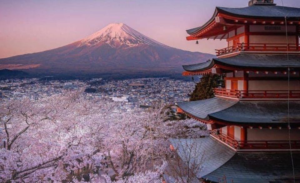 From Tokyo: MT Fuji Hakone Owakudani Valley Private Tour - Key Points