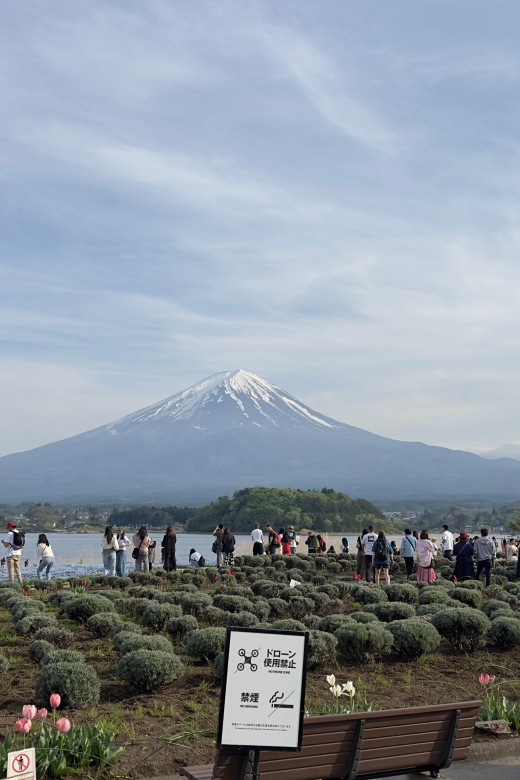 From Tokyo: Mt. Fuji Highlights Customizable Private Tour - Exploring Mt. Fuji