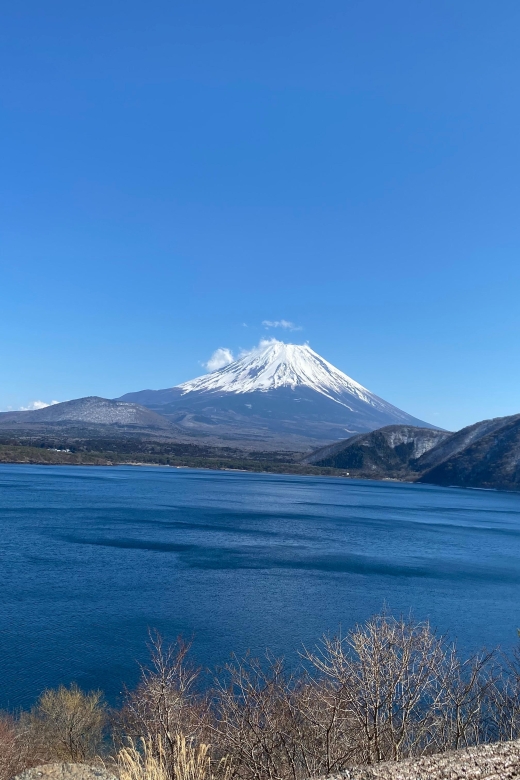 From Tokyo: Mt. Fuji Private Guided Day Tour With Hotel … - Tour Overview