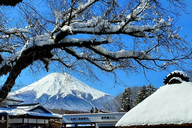 Full Day Private Guided Tour Mt. Fuji and Hakone - Key Points