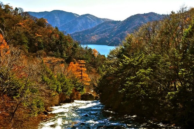 Full Day Private Tour & Sightseeing to Nikko(Eng Speaking Driver) - Pickup Information