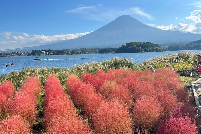 Full Day Private Tour to Mount Fuji and Hakone - Cancellation Policy