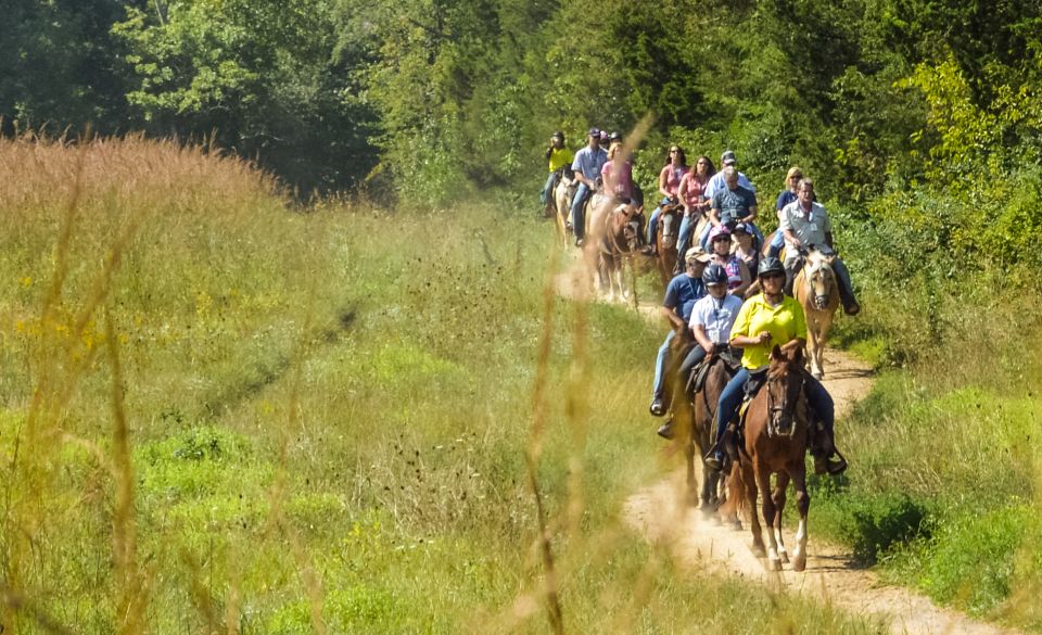 Gettysburg: Licensed Guided Battlefield Horseback Tour - Key Points