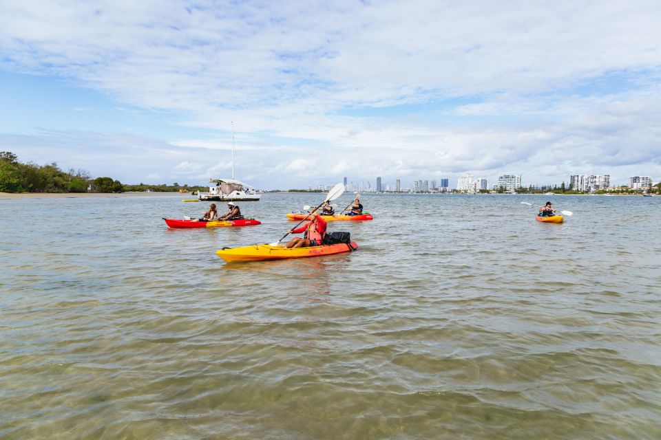 Gold Coast: Wave Break Island Kayaking & Snorkeling Tour - Key Points