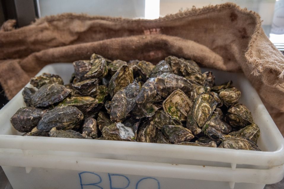 Guided Oyster Tasting - Key Points