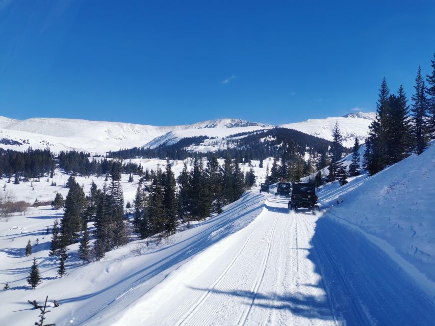 Hatcher Pass: Heated & Enclosed ATV Tours - Open All Year! - Key Points