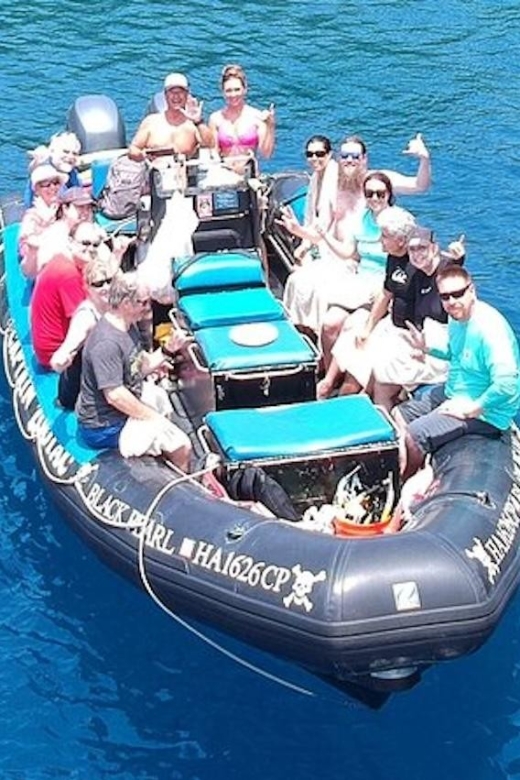 Hawaii: Private Snorkeling Tour With Lunch and Drinks - Key Points