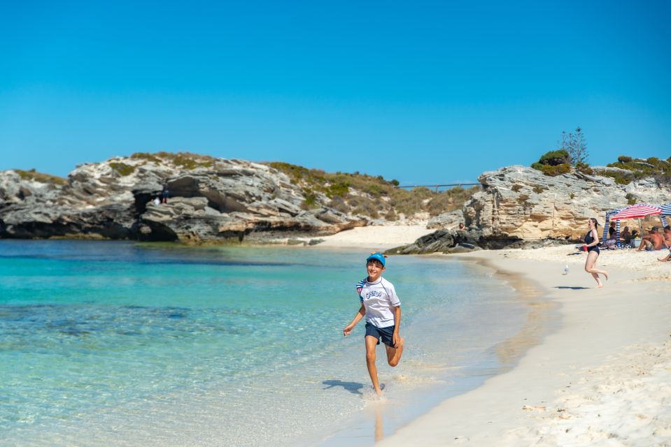 Hillarys Boat Harbour: Rottnest Island Ferry Transfer - Key Points