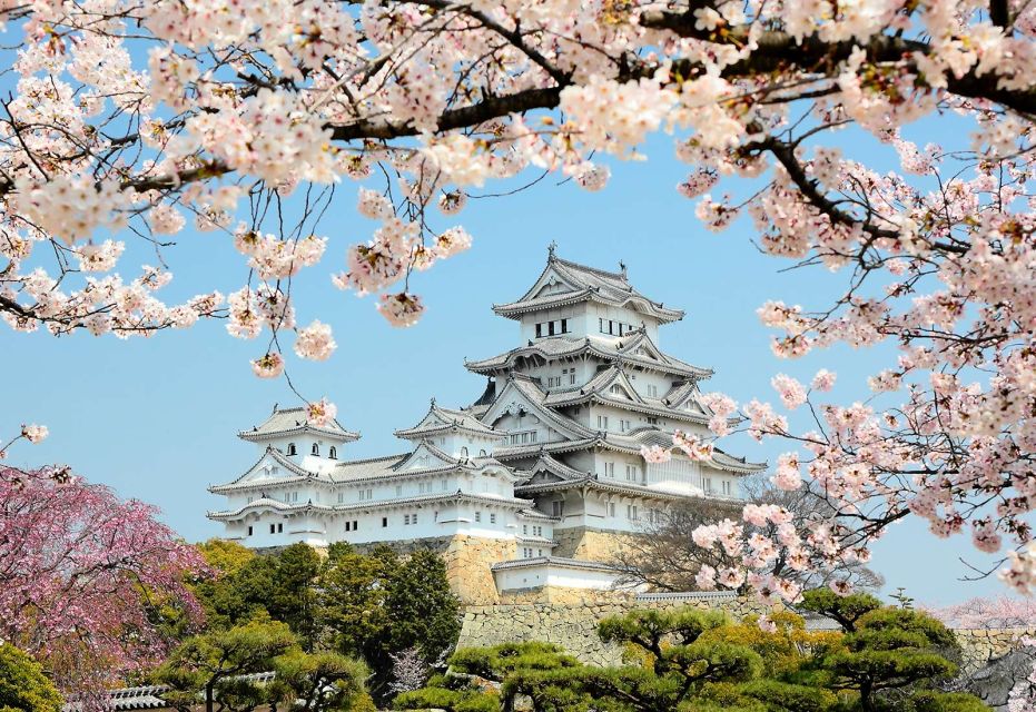 Himeji: Private Customized Tour With Licensed Guide - Key Points