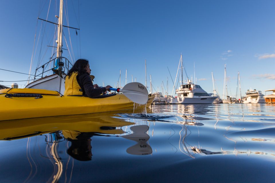 Hobart City 2.5-Hour Kayak Tour - Key Points