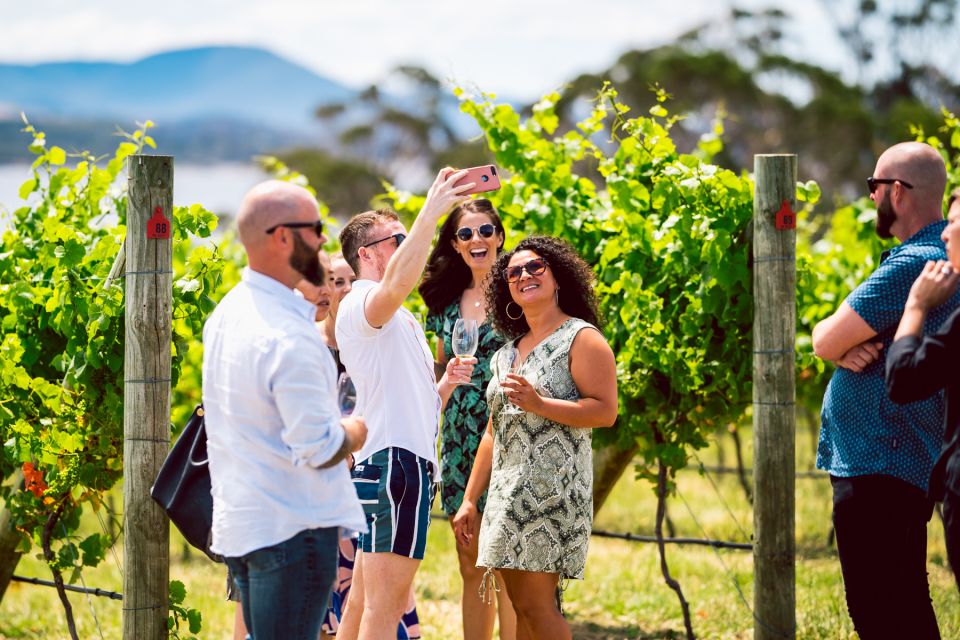 Hobart: Top Tasmanian Wineries Day Tour With Tastings - Key Points