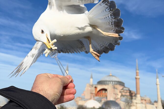 ISTANBUL BEST : Iconic Landmarks FullDay Private Guided City Tour - Key Points