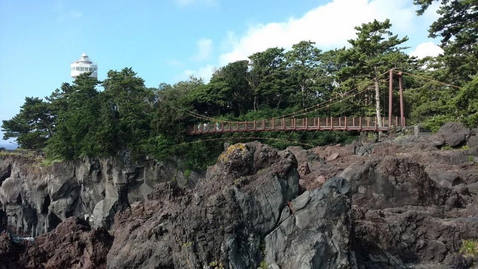 Izu Peninsula: Jogasaki Coast Experience - Key Points