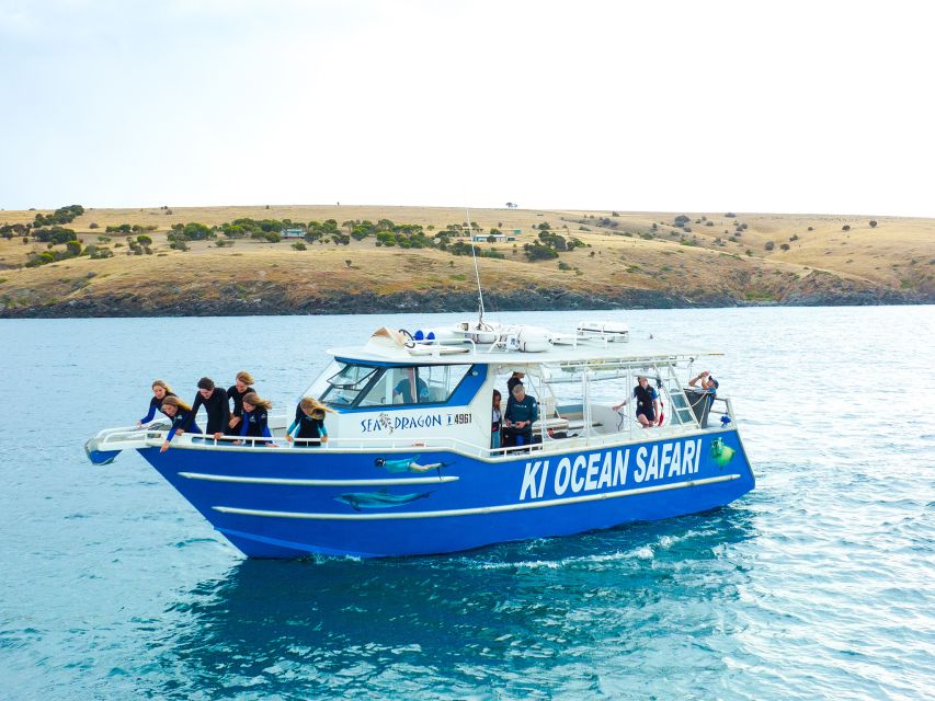 Kangaroo Island: Dolphin, Seal, and Swimming Boat Tour - Key Points