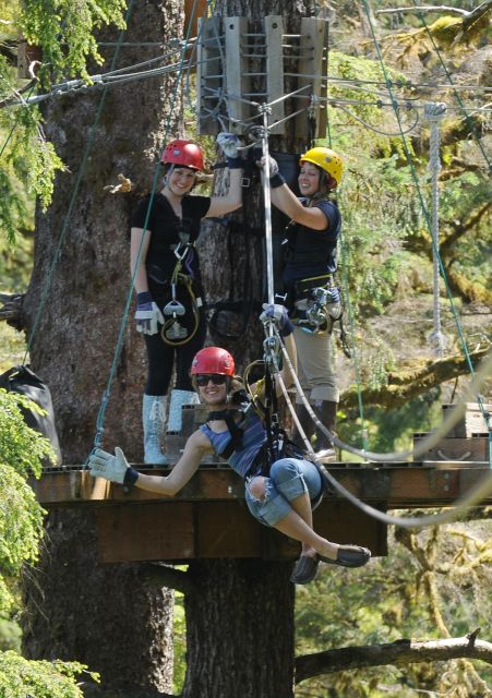 Ketchikan: Rainforest Zipline, Skybridge, & Rappel Adventure - Key Points