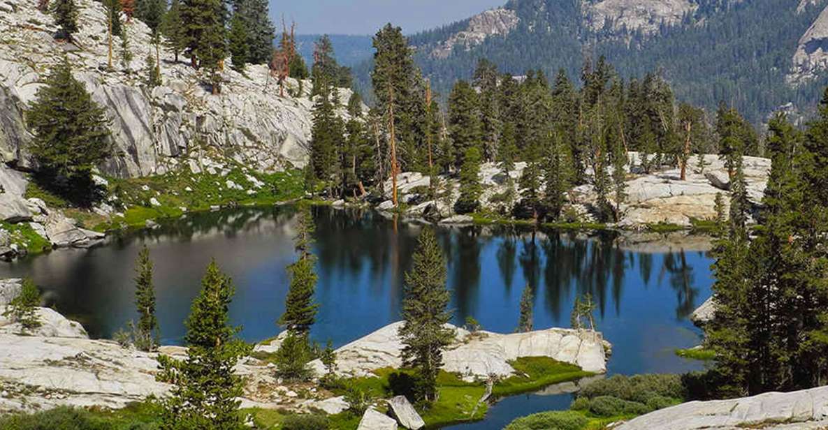 Kings Canyon National Park: Private Tour & Hike - Key Points