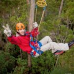Launceston: Hollybank Forest Treetop Zip Lining With Guide - Key Points