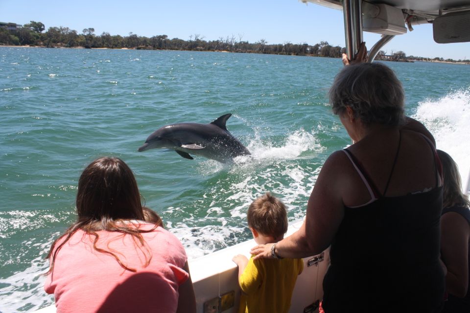 Mandurah: Dolphin and Views Cruise With Optional Lunch - Key Points