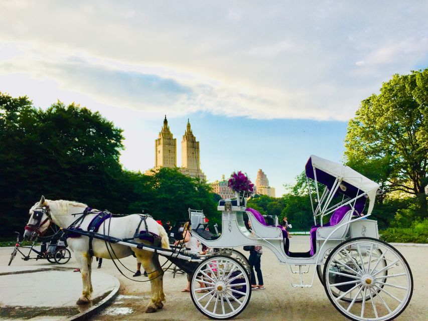 Manhattan: VIP Private Horse Carriage Ride in Central Park - Key Points